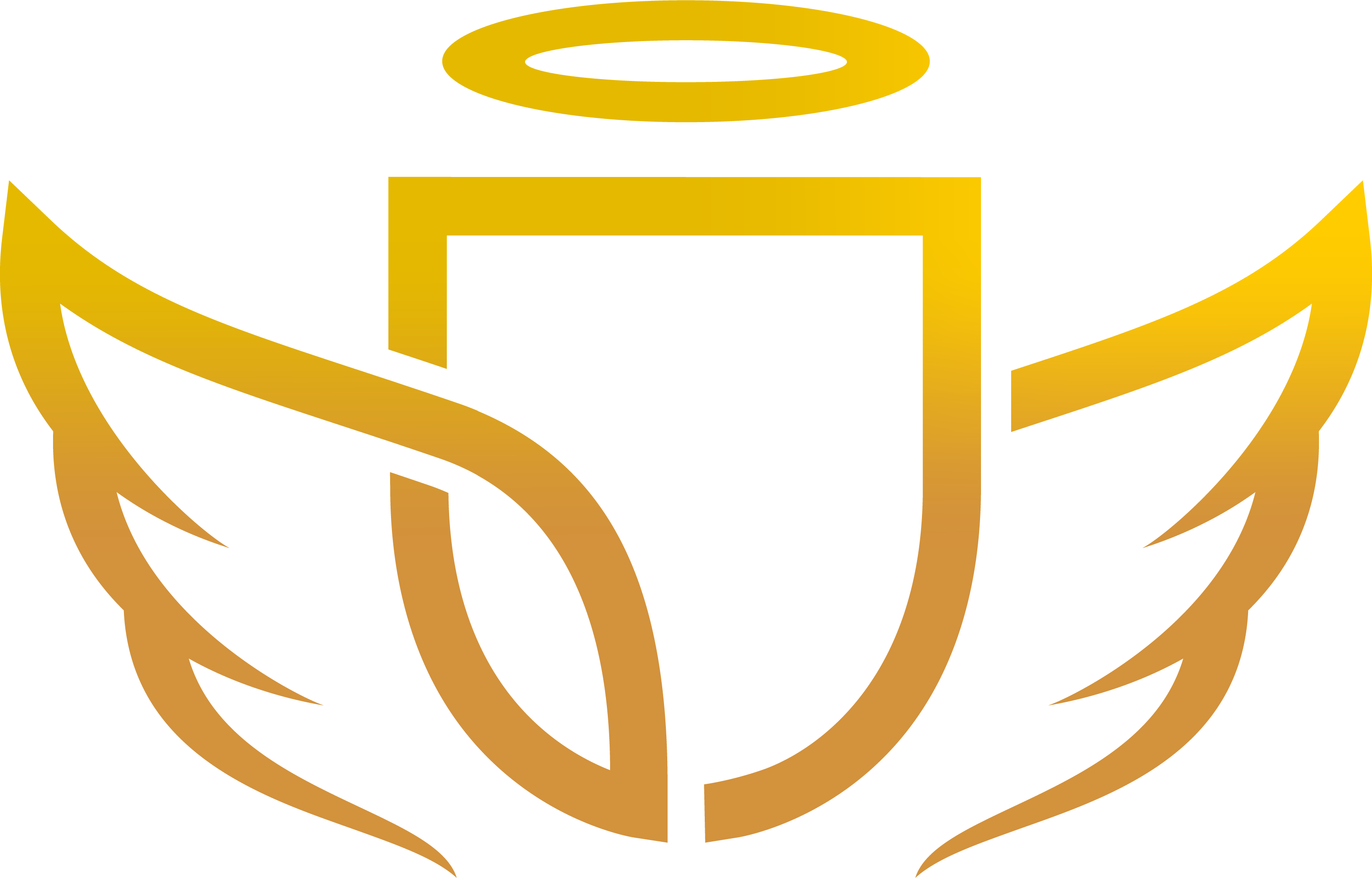 API Interfaces - AngelCV